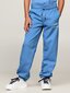 Tommy Hilfiger bikses zēniem Th Logo Sweatpants 540125602, zilas cena un informācija | Bikses zēniem | 220.lv