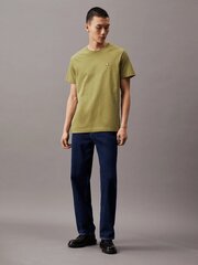 Calvin Klein Jeans T-krekls vīriešiem Embro Badge 560077788, zaļš cena un informācija | Vīriešu T-krekli | 220.lv