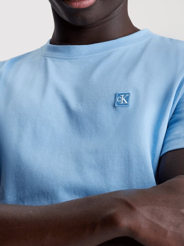 Calvin Klein Jeans T-krekls vīriešiem Embro Badge 560077783, zils cena un informācija | Vīriešu T-krekli | 220.lv