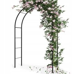 Луковый арка Вильде, 235 см цена и информация | Подставки для цветов, держатели для вазонов | 220.lv