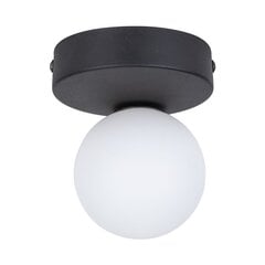 TK Lighting griestu lampa Bianca цена и информация | Потолочные светильники | 220.lv