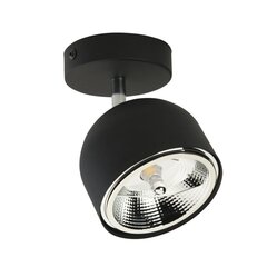 TK Lighting потолочный светильник Altea цена и информация | Потолочный светильник | 220.lv