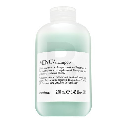 Aizsargājošs šampūns krāsotiem matiem Davines Minu Shampoo, 250 ml цена и информация | Šampūni | 220.lv