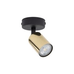 TK Lighting потолочный светильник Top цена и информация | Потолочные светильники | 220.lv