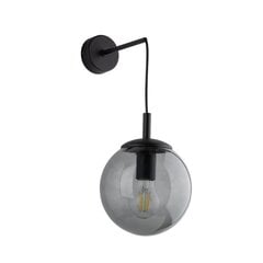 TK Lighting настенный светильник Sierra цена и информация | Настенные светильники | 220.lv