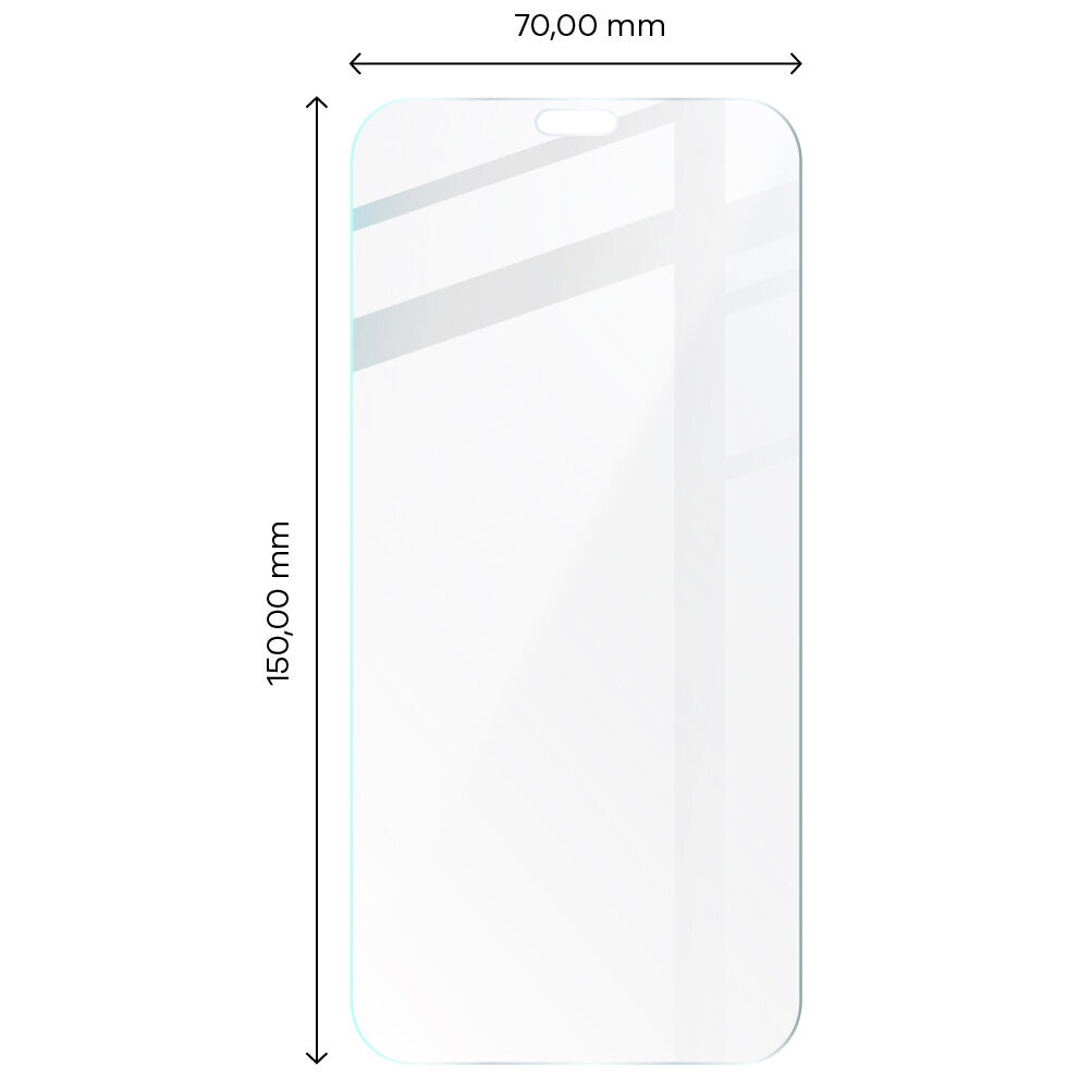 Rūdīts stikls Bizon Glass Clear iPhone 11 Pro Max / Xs Max цена и информация | Ekrāna aizsargstikli | 220.lv
