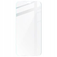 Rūdīts stikls Bizon Glass Clear iPhone 11 Pro Max / Xs Max cena un informācija | Ekrāna aizsargstikli | 220.lv