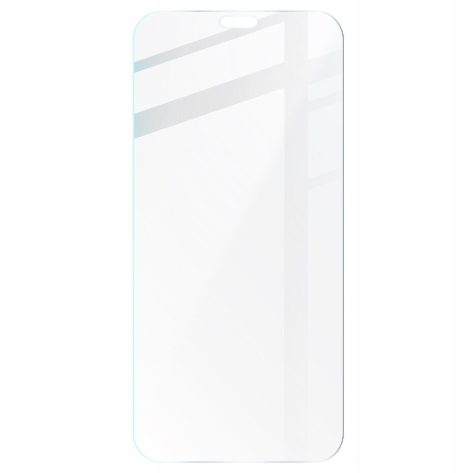 Rūdīts stikls Bizon Glass Clear iPhone 11 Pro Max / Xs Max цена и информация | Ekrāna aizsargstikli | 220.lv