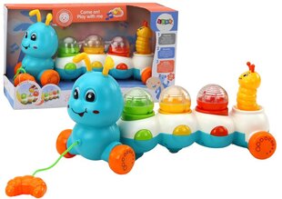 Izglītojoša rotaļlieta Lean Toys Caterpillar цена и информация | Игрушки для малышей | 220.lv