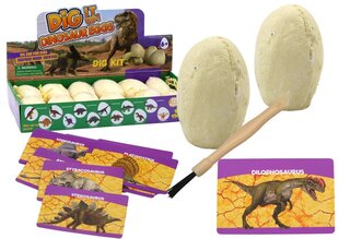 Arheoloģijas komplekts Lean Toys Dinozauru olas, 1 gab. cena un informācija | Rotaļlietas zēniem | 220.lv