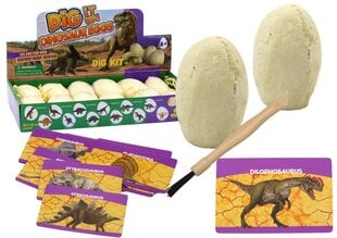 Arheoloģijas komplekts Lean Toys Dinozauru olas, 1 gab. цена и информация | Игрушки для мальчиков | 220.lv