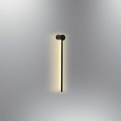 Sienas lampa L1171 цена и информация | Настенные светильники | 220.lv