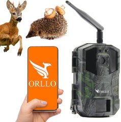 Meža fotokamera Orllo Huntercam 3 GSM цена и информация | Камеры видеонаблюдения | 220.lv