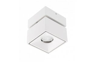 Spot gaismekļis BIANCO CCT, kvadrāts, balts cena un informācija | Griestu lampas | 220.lv