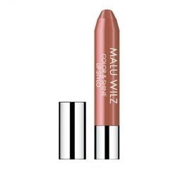 Lūpu krāsa Malu Wilz Color & Shine Lip Stylo №30 Latte Brown, 3.5 g cena un informācija | Lūpu krāsas, balzāmi, spīdumi, vazelīns | 220.lv