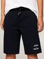 Tommy Hilfiger šorti zēniem Th Logo Sweatshorts 540125623, zili цена и информация | Zēnu šorti | 220.lv