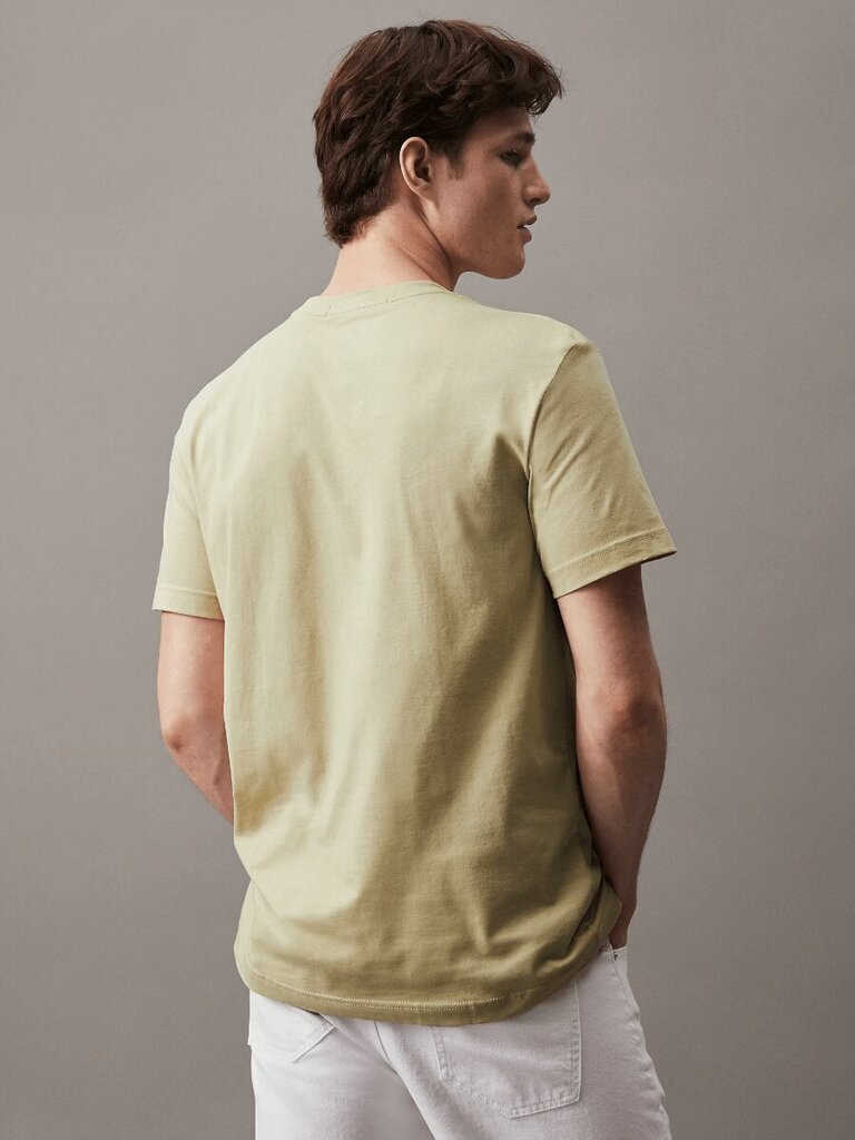Calvin Klein Jeans T-krekls vīriešiem Embro Badge 560077797, gaiši zaļš цена и информация | Vīriešu T-krekli | 220.lv