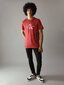 Calvin Klein Jeans T-krekls vīriešiem Disrupted Outline Monologo 560078003, sarkans cena un informācija | Vīriešu T-krekli | 220.lv
