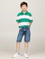 Tommy Hilfiger polo krekls zēniem Global Rugby Stripe Polo S/s 540125550, zaļš cena un informācija | Zēnu krekli | 220.lv