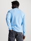 Calvin Klein Jeans krekls vīriešiem Badge Waffle 560077888, zils цена и информация | Vīriešu T-krekli | 220.lv
