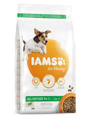 Iams For Vitality для взрослых собак мелких и средних пород с ягненком, 12 кг цена и информация | Сухой корм для собак | 220.lv
