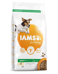 Iams For Vitality для взрослых собак мелких и средних пород с курицей, 5 кг цена и информация |  Сухой корм для собак | 220.lv