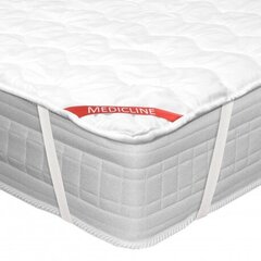 Premium matrača aizsargs, 200x220 cm цена и информация | Простыни | 220.lv