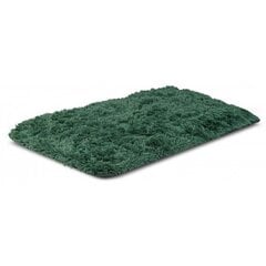 Ковер длинноворсовый нескользящий, зелёный, 100x160 см. цена и информация | Ковры | 220.lv