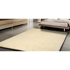 Neslīdošs paklājs 120x160 cm cena un informācija | Paklāji | 220.lv