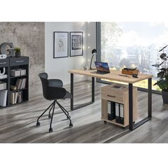 Ящик Aatrium Home Desk, 46x40x58 см, коричневый цвет цена и информация | Компьютерные, письменные столы | 220.lv