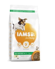 Iams ProActive Health pieaugušiem mazu un vidēju šķirņu suņiem, ar vistas gaļu, 12 kg cena un informācija | Sausā barība suņiem | 220.lv