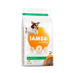 Iams ProActive Health pieaugušiem mazu un vidēju šķirņu suņiem, ar vistas gaļu, 12 kg cena un informācija | Sausā barība suņiem | 220.lv