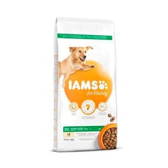 Iams ProActive Health для взрослых собак крупных пород с курицей, 3 кг цена и информация |  Сухой корм для собак | 220.lv