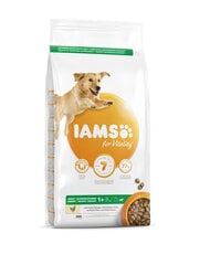 Iams ProActive Health pieaugušiem lielu šķirņu suņiem, ar vistas gaļu, 3 kg цена и информация | Сухой корм для собак | 220.lv