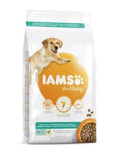 Iams ProActive Health pieaugušiem suņiem pēc sterilizācijas ar noslieci uz svara pieaugumu, ar vistas gaļu, 3 kg цена и информация | Сухой корм для собак | 220.lv