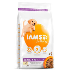 Iams ProActive Health для щенков крупных пород с курицей, 3 кг цена и информация | Сухой корм для собак | 220.lv