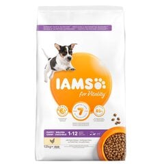 Iams ProActive Health для щенков мелких и средних пород с курицей, 12 кг цена и информация |  Сухой корм для собак | 220.lv