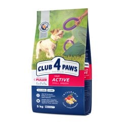 Club 4 paws Premium aktīviem pieaugušiem mazo šķirņu suņiem, 5 kg cena un informācija | Sausā barība suņiem | 220.lv