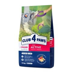 Club 4 paws Premium aktīviem pieaugušiem vidēju šķirņu suņiem, 5 kg cena un informācija | Sausā barība suņiem | 220.lv