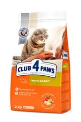 Club 4 paws Premium trušu sausā barība kaķiem 2kg cena un informācija | Sausā barība kaķiem | 220.lv