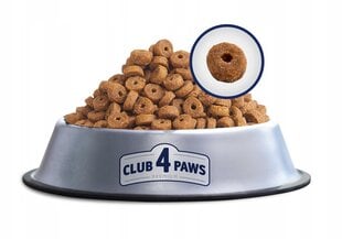 Club 4 paws Premium trušu sausā barība kaķiem 2kg cena un informācija | Sausā barība kaķiem | 220.lv