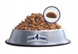 Club 4 paws Premium sausā kaķu barība ar vistu 2 kg cena un informācija | Sausā barība kaķiem | 220.lv