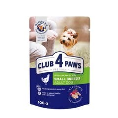 Club 4 paws Premium mitrā barība mazām šķirnēm - Vistas gaļa želejā 24 x 100g cena un informācija | Konservi suņiem | 220.lv