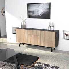 Kumode Aatrium Home, 180x42x80 cm, brūna/melna cena un informācija | Kumodes | 220.lv