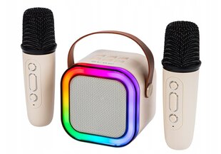 Bluetooth mini skaļrunis ar karaoke cena un informācija | Attīstošās rotaļlietas | 220.lv