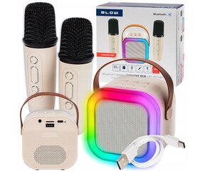 Bluetooth mini skaļrunis ar karaoke cena un informācija | Attīstošās rotaļlietas | 220.lv