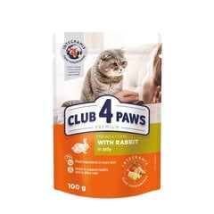 Club 4 paws Premium mitrā kaķu barība - Trusis želejā 24 x 100g cena un informācija | Konservi kaķiem | 220.lv