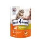 Club 4 paws Premium mitrā kaķu barība - Trusis želejā 24 x 100g cena un informācija | Konservi kaķiem | 220.lv