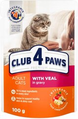 Club 4 paws Premium mitrā kaķu barība - Teļa gaļa mērcē 24 x 100 g cena un informācija | Konservi kaķiem | 220.lv