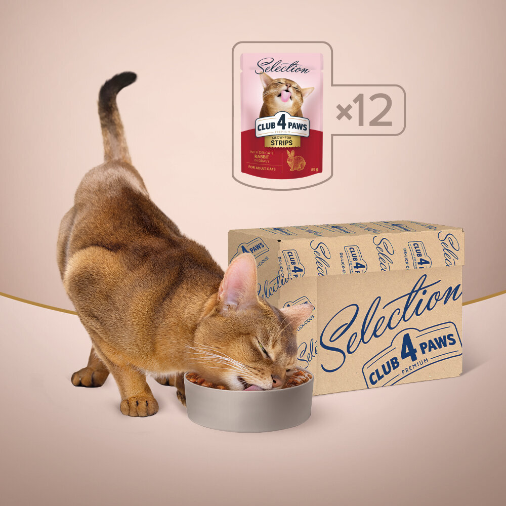 Club 4 paws Premium mitrā kaķu barība - Delikāts trusis mērcē 12 x 85g цена и информация | Konservi kaķiem | 220.lv
